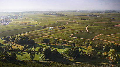 Château Beau Site